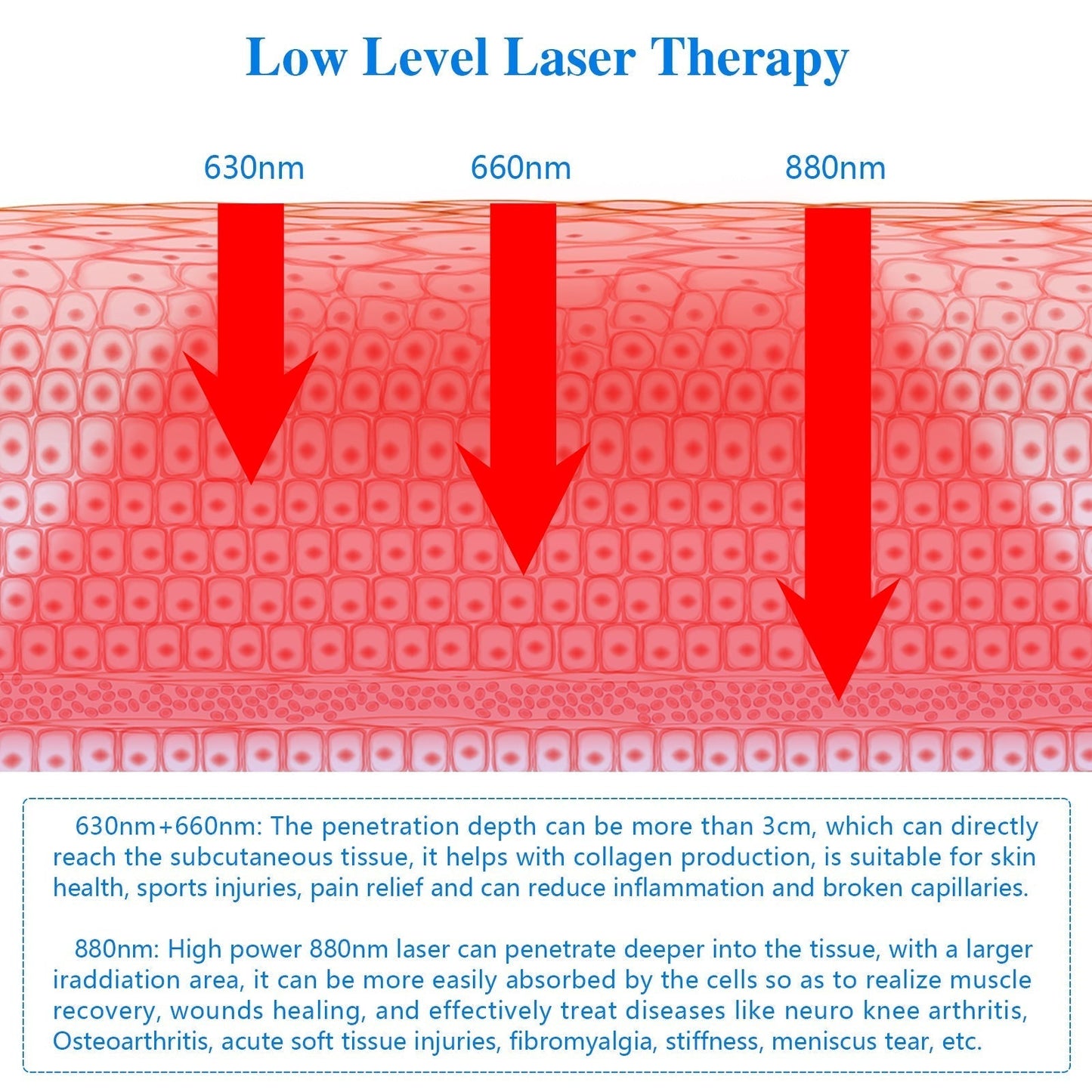 50% de réduction 🔥🔥- Masseur de genou KTS® Laser Therapy 660nm 880nm Écran LCD infrarouge Commande tactile Chauffage Physiothérapie Soulagement de la douleur Rééducation 